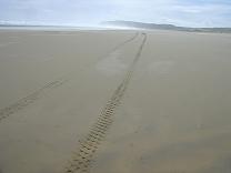 90 Mile Beach, Cape Reinga, New Zealand