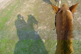 Horse Riding, Pantanal, Brazil