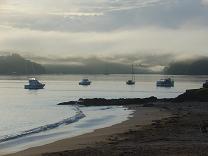 Paihia, New Zealand