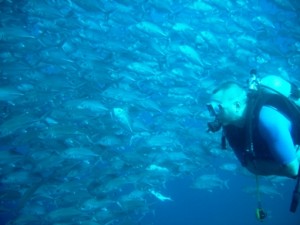 Twin Rocks Dive Site, Anilao, Philippines