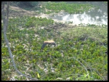 Random image