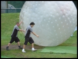 Random image